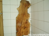 Burl slab