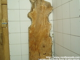 Burl slab