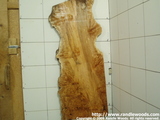 Burl slab