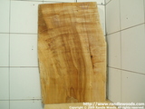 very good Maple Billet