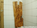 Maple Burl/crotch