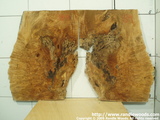 Burl Bookmatch set - Late spalt