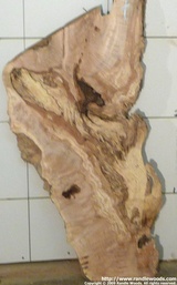 Maple Burl Slab - Spalt burl