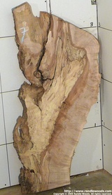 Maple Burl Slab - Spalt burl